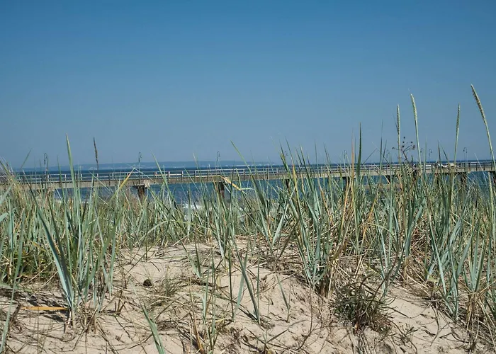Tiny Nr 819 Feriehus Goehren (Ruegen)